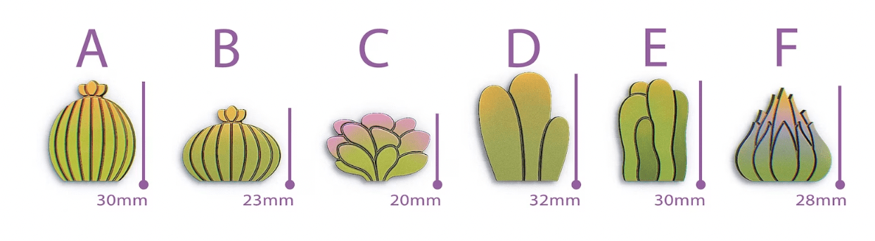 Succulent Combo (Pack of 6) - ClartStudios - Polymer clay Jewellery